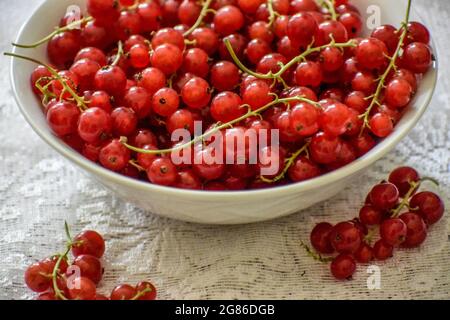 Food Fruits Currants in the Bowl Stock Photo