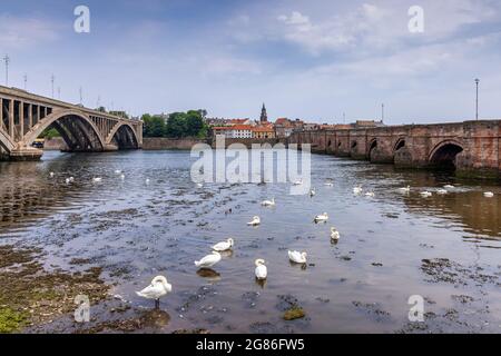 The River Tweed from Tweedmouth towards Berwick upon Tweed, featuring the Royal Tweed Bridge and the 17th century Berwick Bridge (Old Bridge). Stock Photo