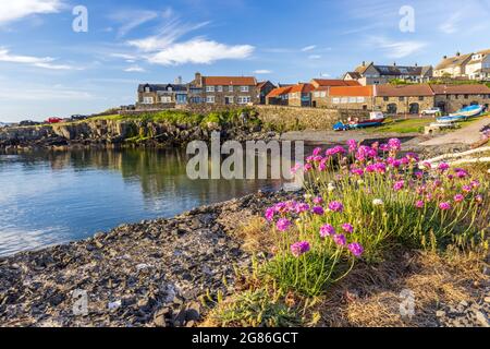 The small fishing village of Craster, with its picturesque harbour, on the coast of Northumberland, England, Uk Stock Photo