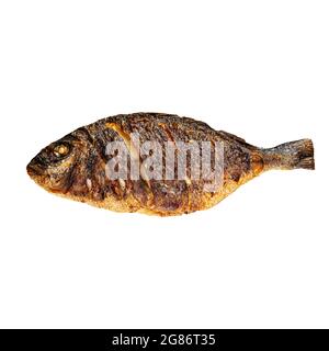 Isolated grilled dorada fish on the white Stock Photo