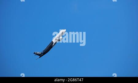 AIRBUS A350 XWB. Modern Airliner Demonstration flight on MAKS 2019 airshow. ZHUKOVSKY, RUSSIA, AUGUST 30, 2019 Stock Photo