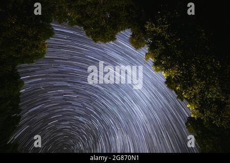 Star trails from the forest floor. Stock Photo
