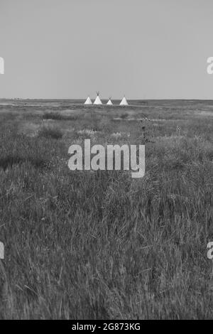 Native American tipi structures at the Plains Conservation Center in Aurora, Colorado; part of the prairie's indigenous history used for education. Stock Photo