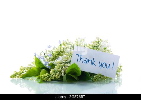 bouquet of white lilacs with a thank you card Stock Photo