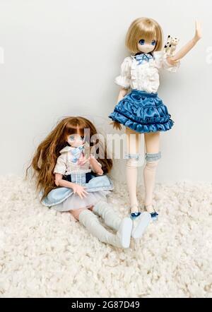 Azone 2024 international dolls