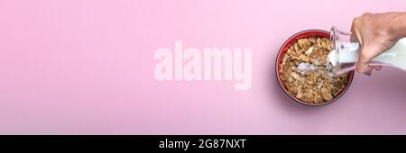 Cooking muesli. A woman pours milk from a jug into a saucer with muesli flakes. Pink background with place to insert text. Large banner for print or Stock Photo