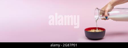 Cooking muesli. A woman pours milk from a jug into a saucer with muesli flakes. Pink background with place to insert text. Large banner for print or Stock Photo