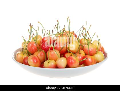Close up of a porcelain bowl full of fresh organic Rainier Cherries, isolated on a white background Stock Photo