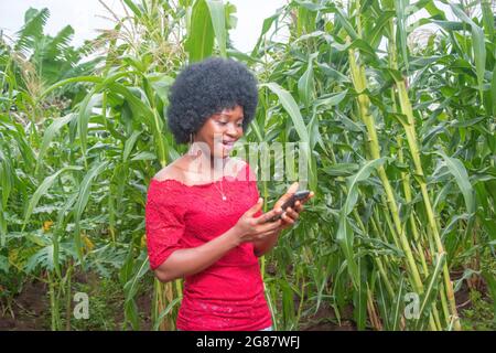 A cute African lady wearing a red dress and afro hair style, happily looking at the camera and holding a handset smartphone with both hands, on farm Stock Photo