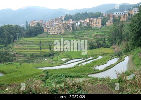 Amazing fields of rice a style of Agriculture in Yunnan Province south China Stock Photo