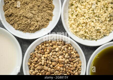 collection of hemp seed products: hearts, protein powder, milk and oil in small white bowls, superfood concept Stock Photo