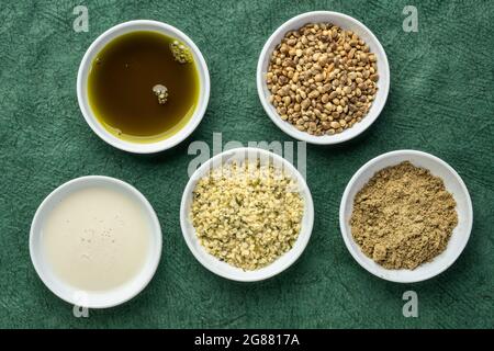 collection of hemp seed products: hearts, protein powder, milk and oil in small white bowls against textured green paper, superfood concept Stock Photo