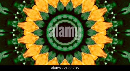 buttercup green leaves kaleidoscope Stock Photo