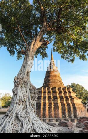 Stpa at Wat Mahathat Sukhothai - Thailand. Sukhothai was the 13th and 14th century capital of the Thai Kingdom, many amazing historical building still Stock Photo