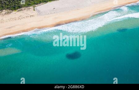 Salmon fish hi-res stock photography and images - Alamy