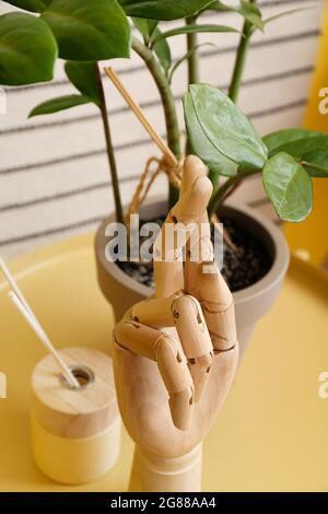 Wooden hand, reed diffuser and houseplant on table Stock Photo