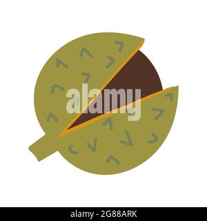 Open Chestnut Thorned Shell with Brown Nut Nearby Stock Vector