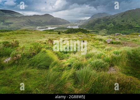 Panoramic view of Irish landscape from Ladies View in Killarney National Park, with a sky with very dense clouds and vegetation in the foreground. Stock Photo