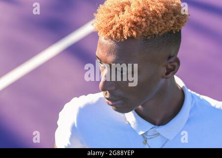 Portrait of young man with colorful hair Stock Photo