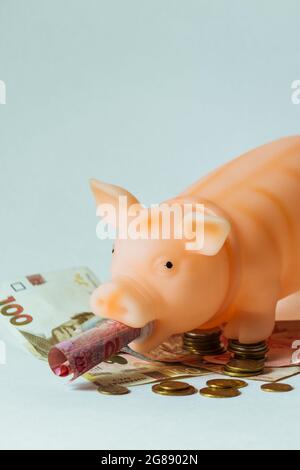 A toy in the shape of a pink pig holds a bill in its mouth and stands on the money.