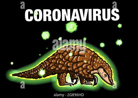 pangolin animal and coronavirus text  illustration Stock Photo