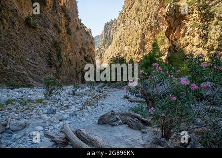 The Samaria Gorge on the Greek island of Crete Stock Photo