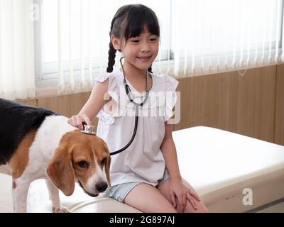 A cute little girl examines her Jack Russell Terrier in the clinic, animal health care Stock Photo