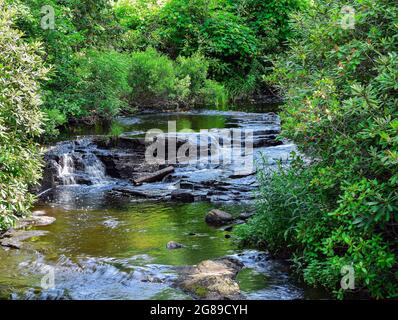 water cascading over rocks in a stream at moore state park Stock Photo