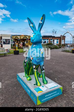 Giant hare artwork sculpture decorated with puffins, The Big Hare Trail event, Scottish seabird centre, North Berwick, East Lothian, Scotland, UK Stock Photo