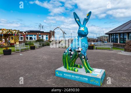 Giant hare artwork sculpture decorated with puffins, The Big Hare Trail event, Scottish seabird centre, North Berwick, East Lothian, Scotland, UK Stock Photo