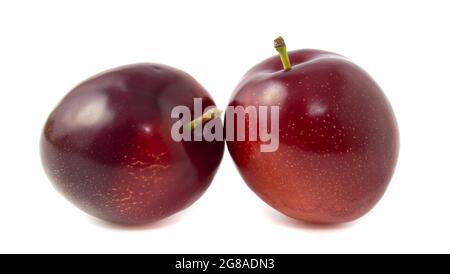 Purple plums isolated on white background. two whole berries with stalks Stock Photo
