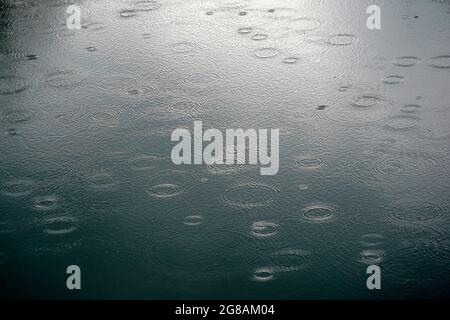 Rain drops falling the surface on river making circles on the water. Picture suitable as a background. Stock Photo