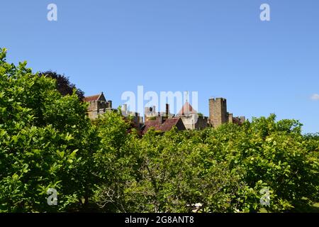 Rooftops of Tudor mansion Penshurst Place, Kent, on a hot summer's day peer over the tops of magnolia trees on a hot summer's day. King Henry VIII. Stock Photo