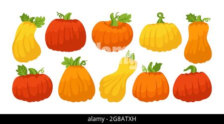 Pumpkin flat cartoon set. Autumn various ripe whole pumpkins. Halloween or Thanksgiving Day festival symbol harvest collection. Agricultural hand drawn colorful vegetable icon orange red vector Stock Vector