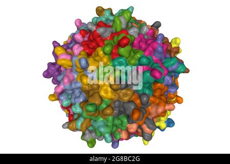 Adeno-associated Virus Capsid Molecule. Computer Model Showing The ...