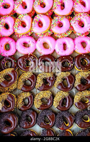 Rows of colorful donuts process in fall color style and taken from top view. Stock Photo