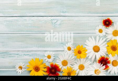 Daisy flowers on wooden background, summer chamomile flat lay