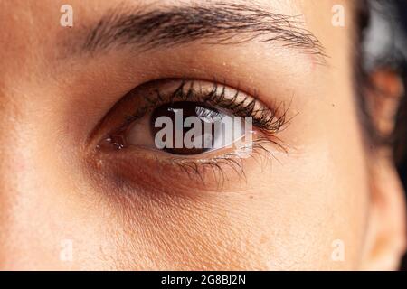 Close up of feminine eye with eyelashes and eyebrows sight details. Camera focus on natural human optical vision of healthy brown eyeball and eyelid. Adult iris, pupil, retina, cornea Stock Photo
