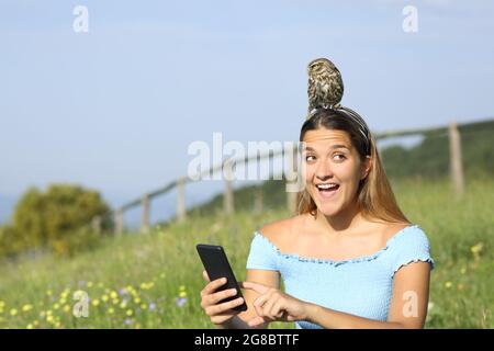 Amazed woman using smart phone finding wild owlet branched on her head in a meadow Stock Photo