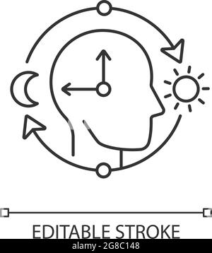 Circadian rhythms linear icon Stock Vector
