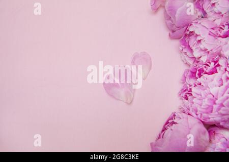 Pink peony flowers on pink background. Heart shaped two petals. Copy space for text. Top view. Wedding, valentine's day or mothers day concept Stock Photo