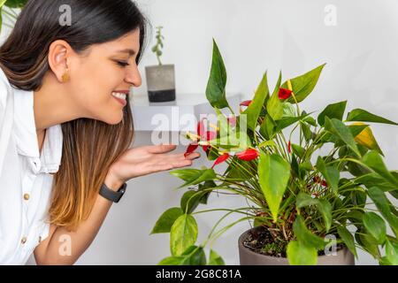 young latina woman looking at her anthurium flowers and smiling Stock Photo