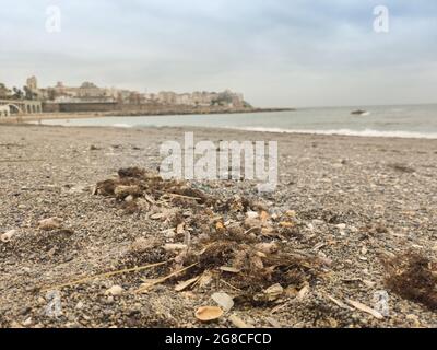 Close up view of garbage with cigarette butts and debris on the Stock Photo