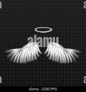 Abstract symmetry bird wings line luxury white color isolated on dark background. Vector illustration. Stock Vector
