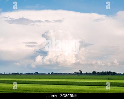 Cumulonimbus storm cloud, anvil cloud, over meadows of polder landscape in Friesland, Netherlands Stock Photo