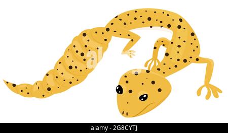 Eublepharis macularius. Cartoon yellow golden leopard gecko. Reptile vector illustration isolated on white background. Stock Vector