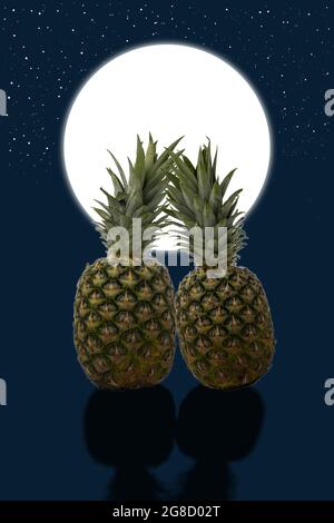 Two pineapples in love in the moonlight. Stock Photo