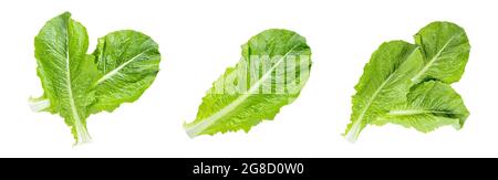 Top view of fresh raw green romaine lettuce leaves for salad set isolated on white background. Stock Photo