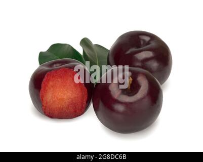 Three plums with leaves on white background Stock Photo