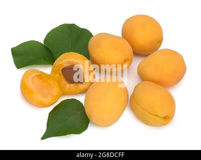 Ripe orange apricots with green leaves on white background. Isolated fruit. Stock Photo